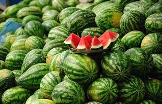 西瓜视频成人青草视频,内容解析与行业洞察