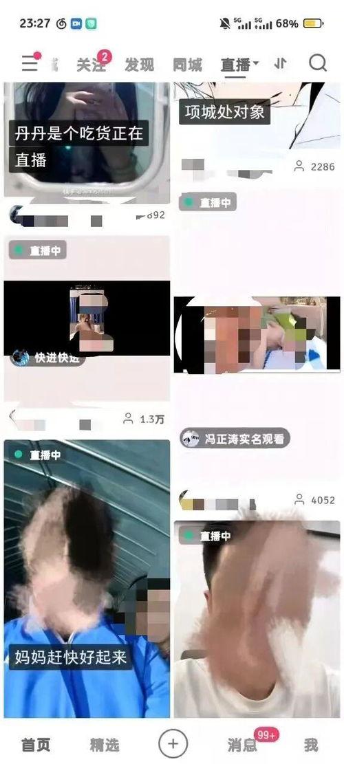 成人的视频网,内容、影响与监管探讨