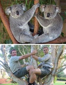 成人模仿动物视频,成人版趣味动物模仿挑战