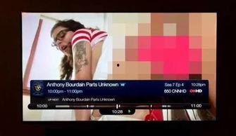 国外成人电视频道,内容、影响与争议